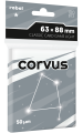 Rebel-koszulki-light-corvus-light.png