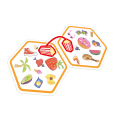 rebel-gra-rodzinna-dobble-connect-asset4.png